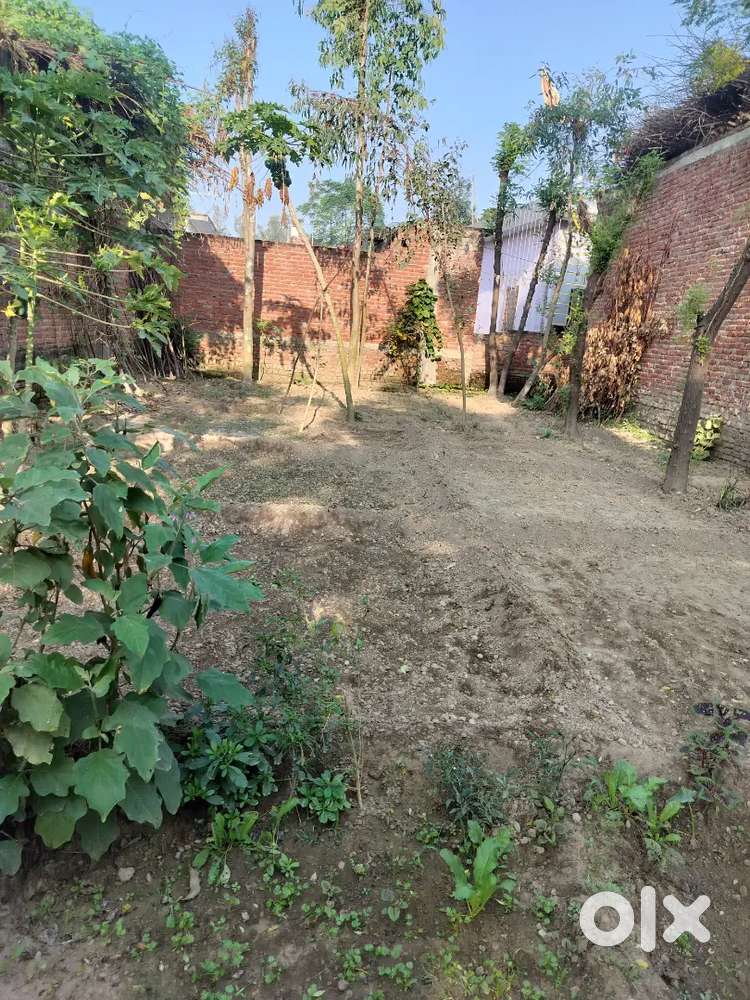 I selling my plot in near by Tanki chahura shergarh