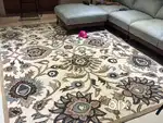 Brand new carpet