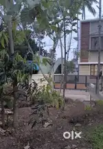 4 Cent PLOT at 1KM FROM  AMBALAKUKKU