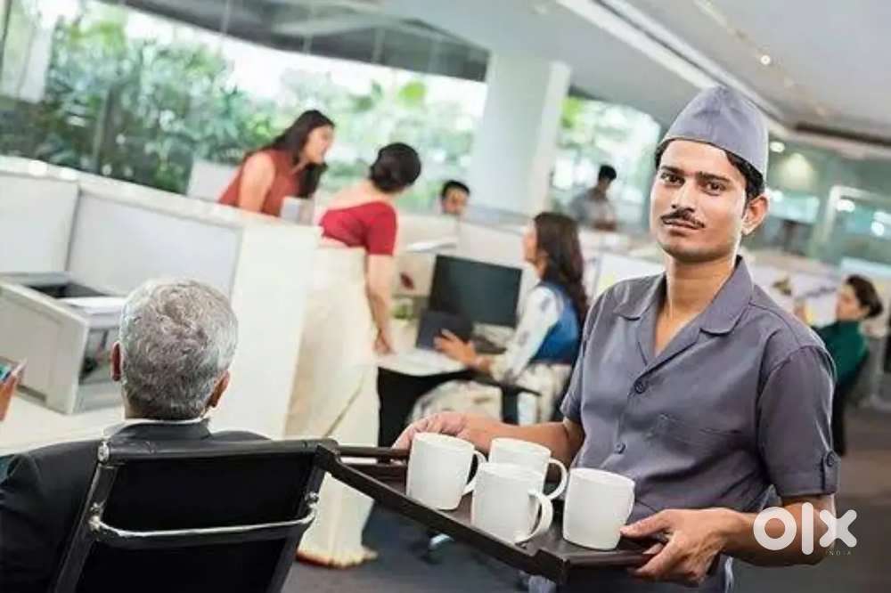 OFFICE BOY AND DOCUMENT VERIFICATION