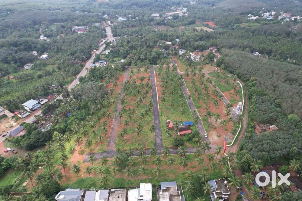 9 Cent House plot for sale in Viyyakurissi,Palakkad