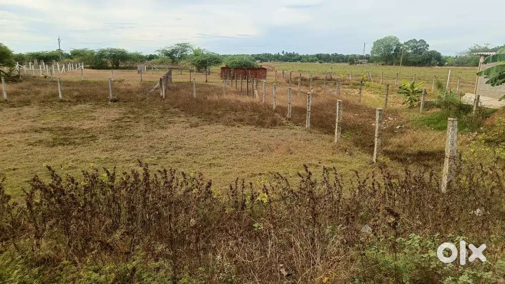 On road property , Tiruvali bus stop mangaimadam to sirkali main road