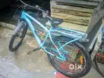 New Condition Cycle 2024 model
