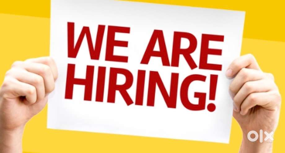  Job Vacancy – Collection Executive (Jaiswal cable network, Pipariya)