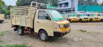 Dost LS 2022
