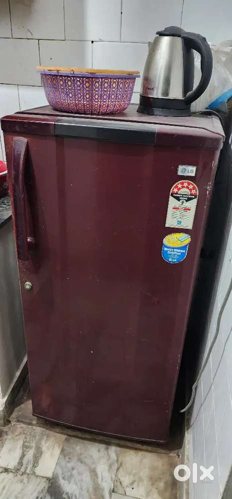 Single door freeze in good condition