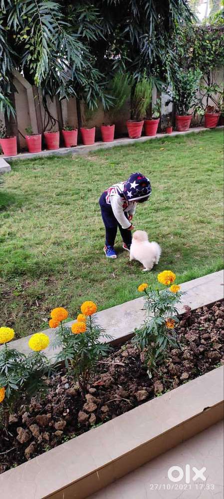 Sell plot raj nagar part 2 palam colony dehli