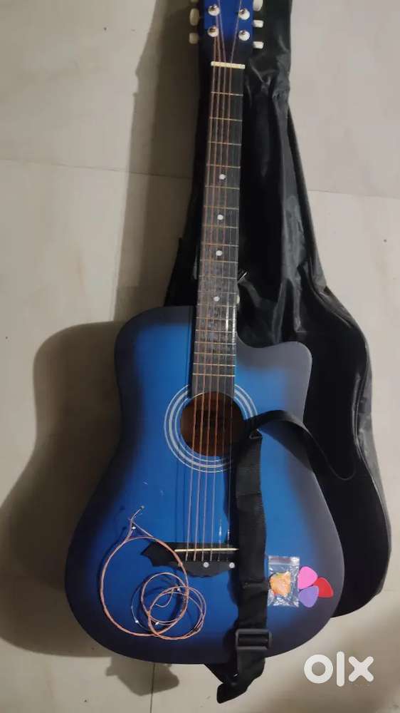 INTERN Guitar