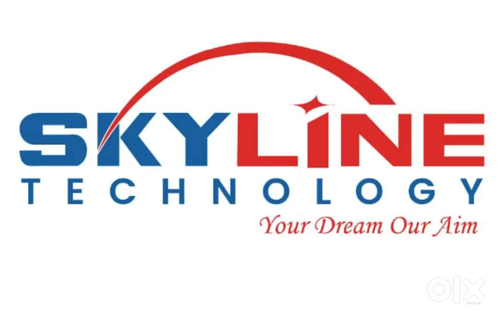 BUSINESS DEVELOPMENT EXECUTIVE