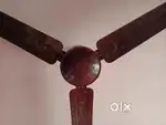 Orpat Company Fan