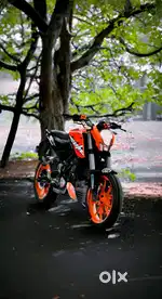 Duke 200 bs4