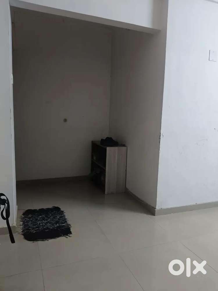 Looking for a roommate