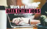 Home based job data entry typing work