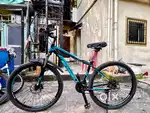 Schneil Mountain Bike - 29 Wheels, Disc Brakes , shock observer