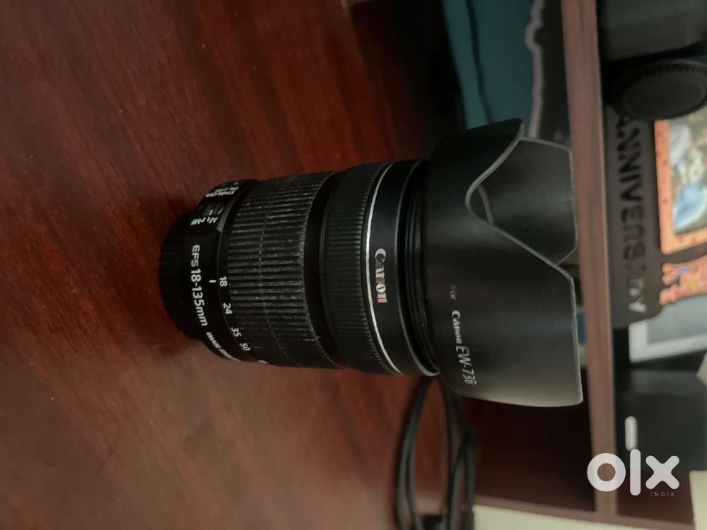 Canon 18-135 STM IS Lens