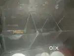 Fish tank small