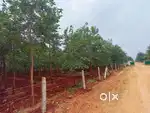 Sai Properties & Projects Ltd