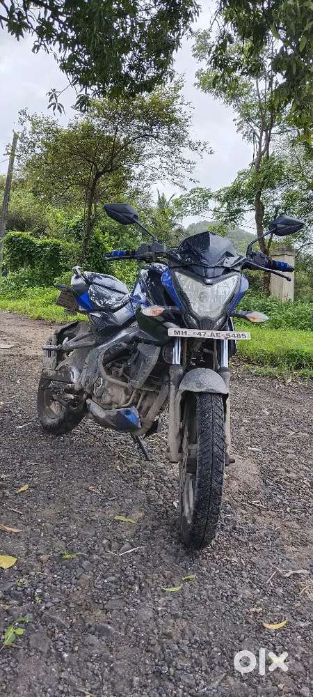 NS 160 satin blue (BS4)