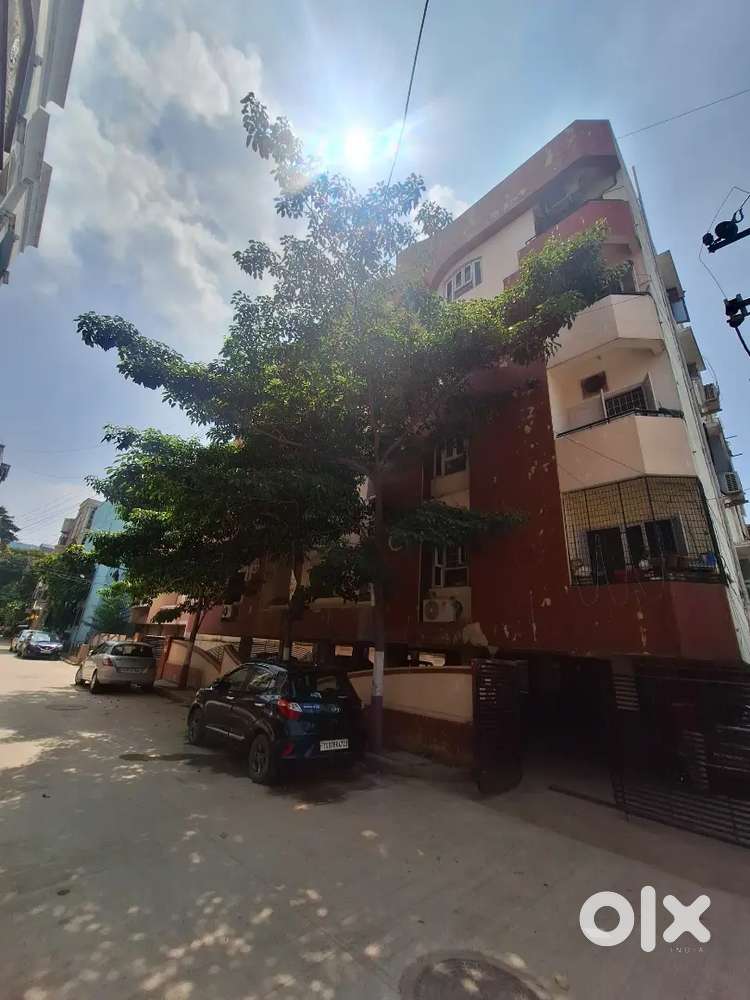 Spacious family flat