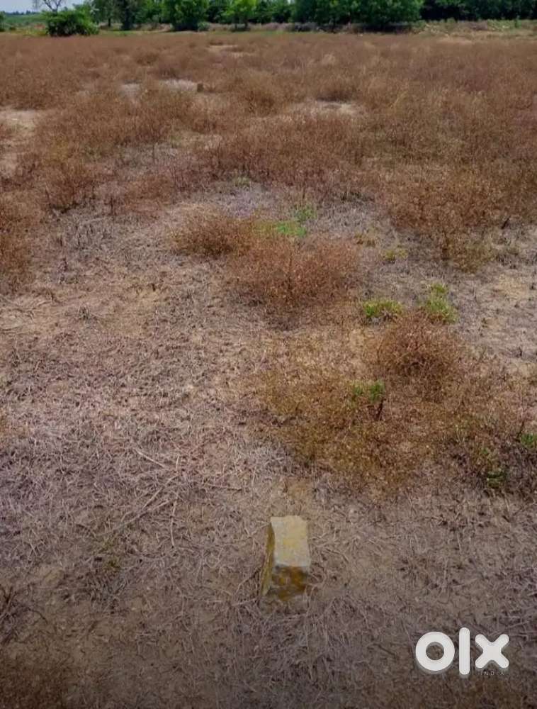 North south square type plat for sales attached plot