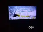 Smart TV sell