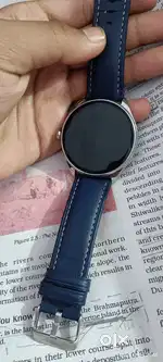 Watch pebble royale legend