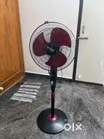 Table fan or Standing Fan