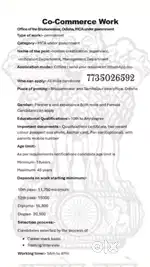 Co-commerce Work