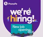 Phonepe Business Development Executive