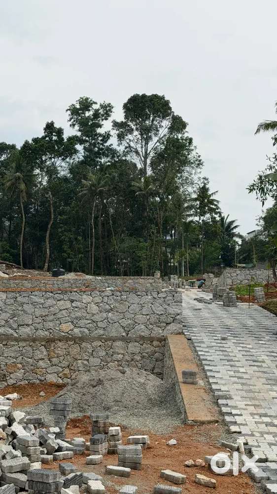 Plot for sale 200 meeter from vembayam mc road