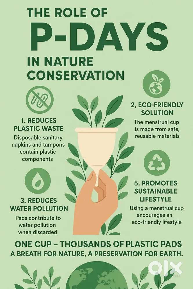 Sales Co-ordinator for Peedays Lab