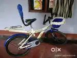 Avon Balloon Bycycle