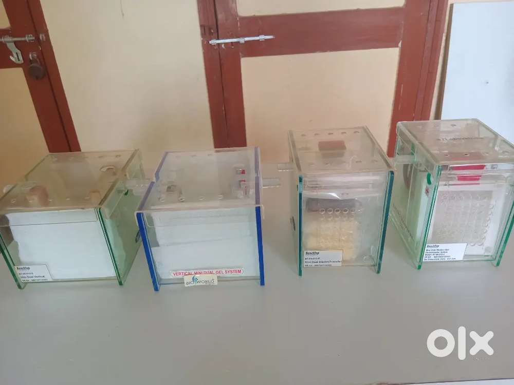 Mini dual Protein gel units and blot systems with power pack