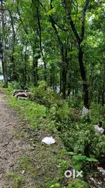 16.5 cent,plot,taring road frontage