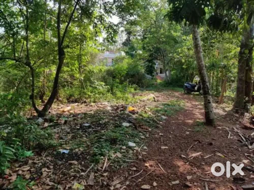 9 cent plot sale thiruvallam bike road