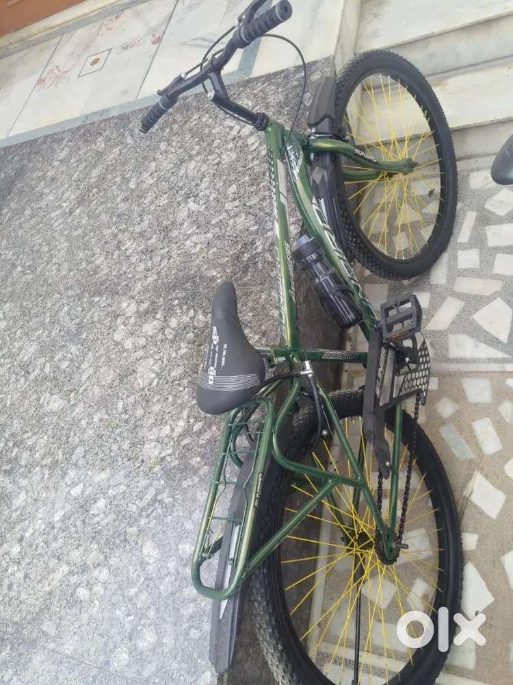 5 days old cycle
