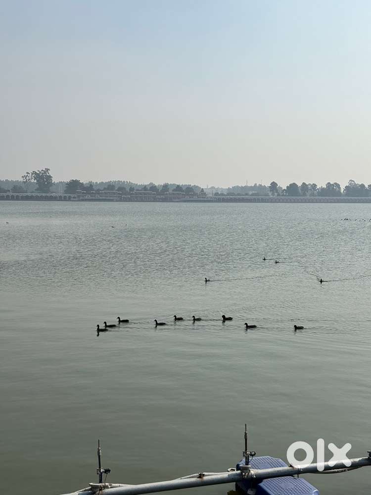 Need job in mohali/ Chandigarh