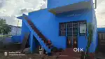 Location: alangulam/ karumbanoor