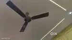 Ceiling Fan by POLAR