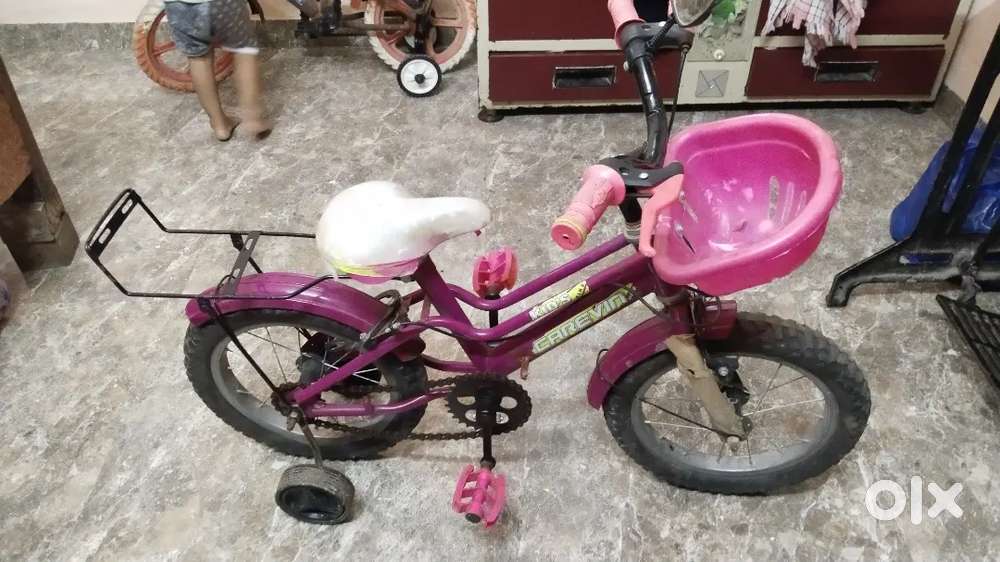 Cycle age 6 year