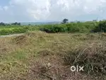 Residential plot for sale at very reasonable price