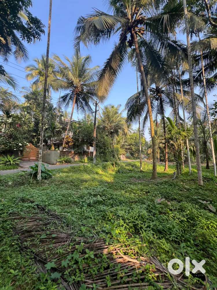 Road side 14  cent plote