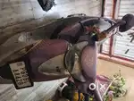 TVS scooty PEP+