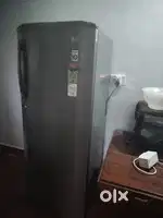 LG Fridge 250 L, 5 Star
