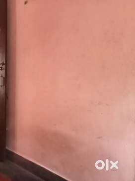 Single Room available  for ladies or couples