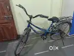 Lady bird cycle in 200/-