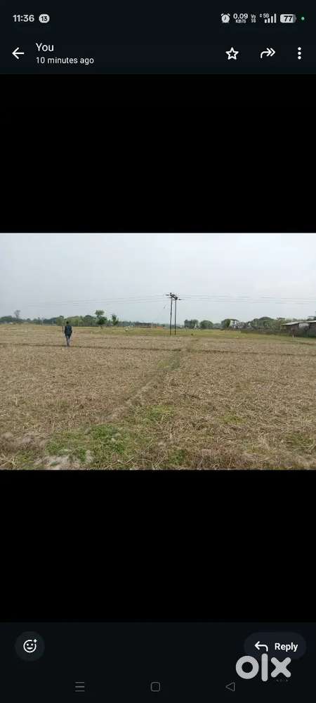 Prime 1 Bigha (5 Katha) Myadhi Land for Sale! Near Bokakhat! Sale!