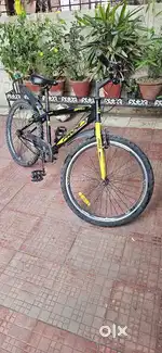 Frog company single speed cycle