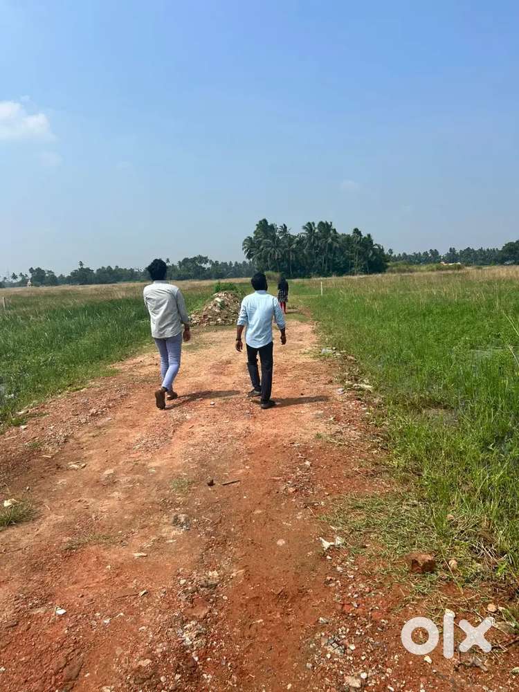 Residential plot NH side