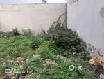 Plot in Tirupati dream colony shantipalace bypass road,nanakhed ujjain